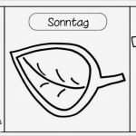 Faltbuch Vorlage Wunderbar Ideenreise Leporello Zur &quot;kleinen Raupe Nimmersatt&quot;