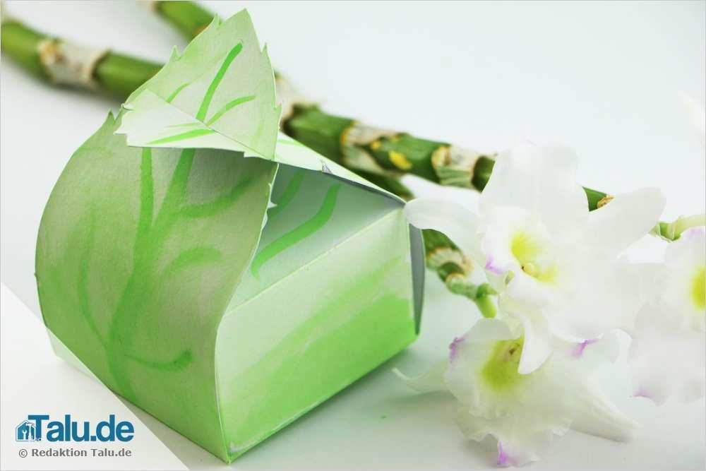 Faltschachtel Vorlage Hübsch Faltschachtel Basteln Anleitung Vorlagen Für Kreative