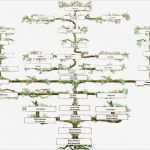 Familienstammbaum Erstellen Vorlage Bewundernswert Suhrsoft Individualsoftware Und Genealogieprogramme