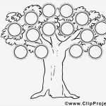 Familienstammbaum Erstellen Vorlage Wunderbar Beste Stammbaum Gliederung Vorlage Galerie Entry Level