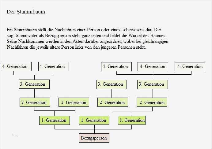 Familienstammbaum Vorlage Bewundernswert Der Stammbaum