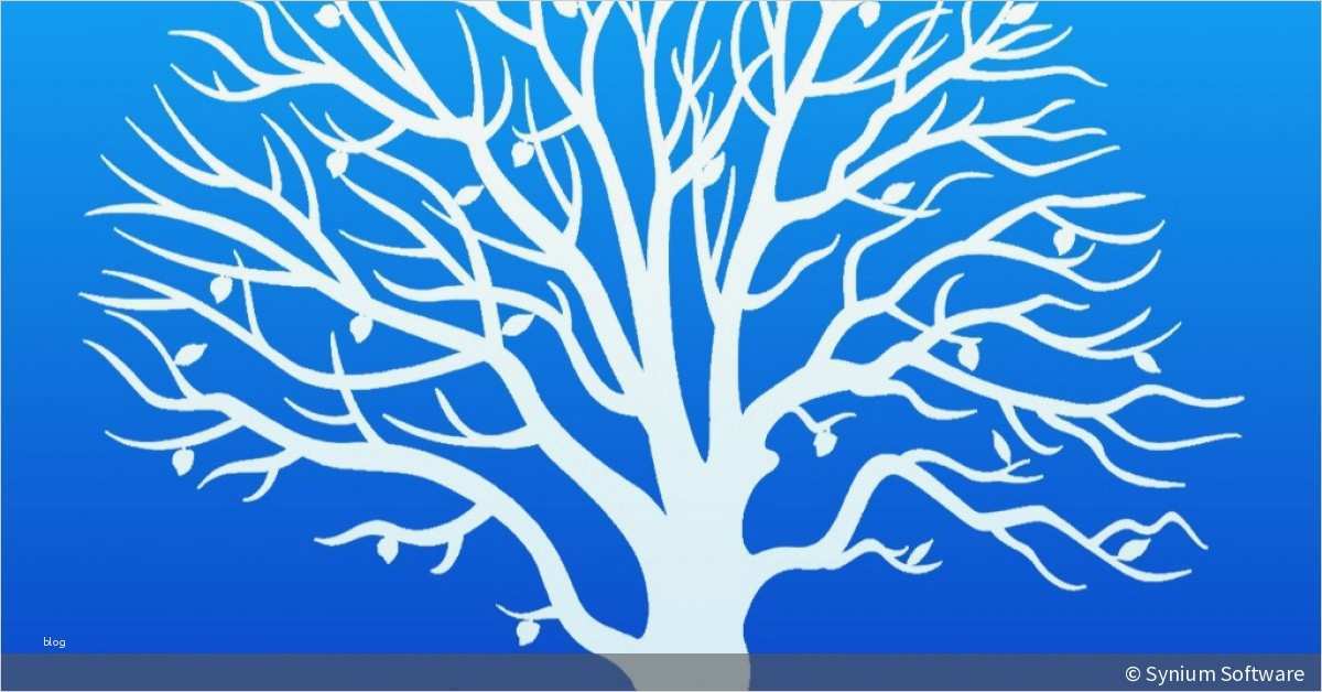 Familienstammbaum Vorlage Elegant Ahnenforschung Leicht Gemacht so Erstellen Sie Ihren