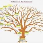 Familienstammbaum Vorlage Erstaunlich Fein Kostenlose Ahnentafel Vorlage Galerie