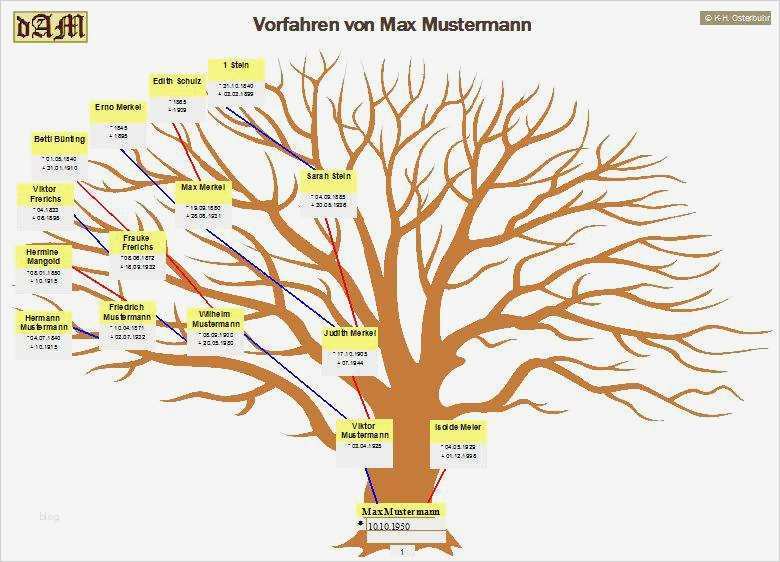 Familienstammbaum Vorlage Erstaunlich Fein Kostenlose Ahnentafel Vorlage Galerie