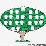 Familienstammbaum Vorlage Großartig Familienbaum Bild Vorlage