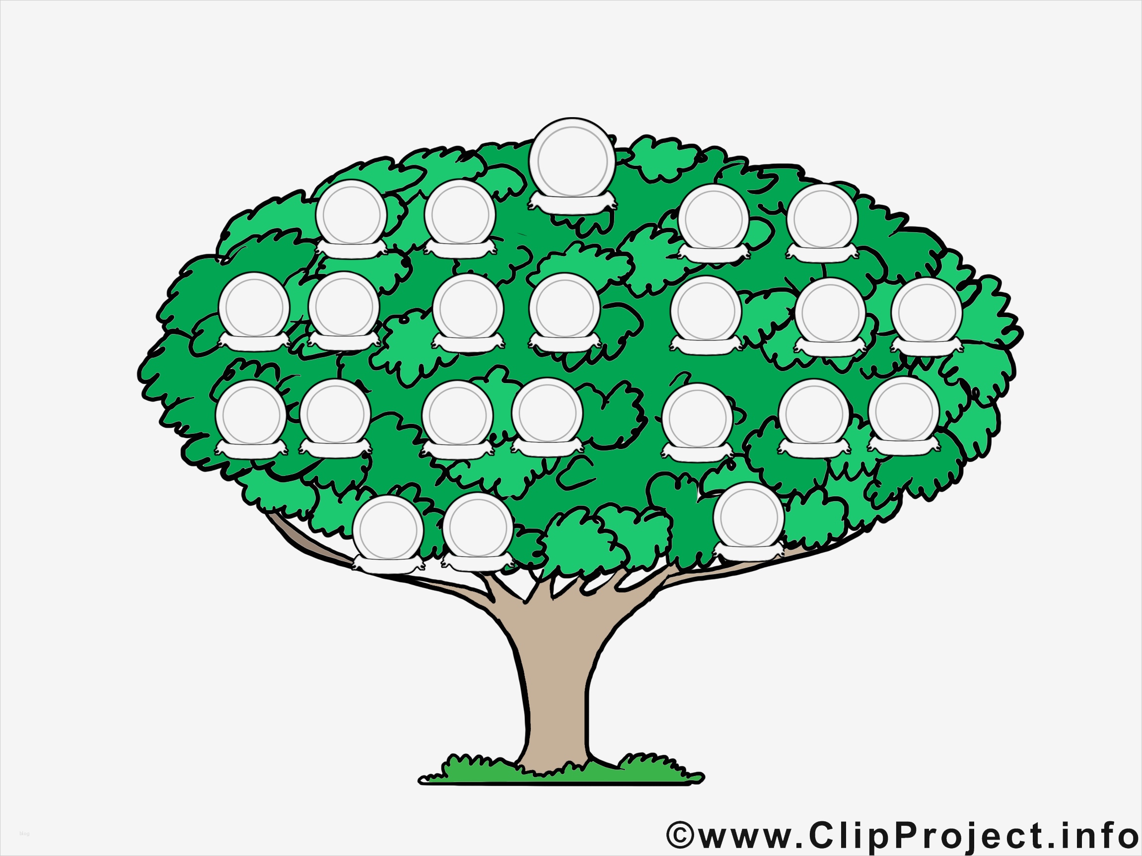 Familienstammbaum Vorlage Großartig Familienbaum Bild Vorlage