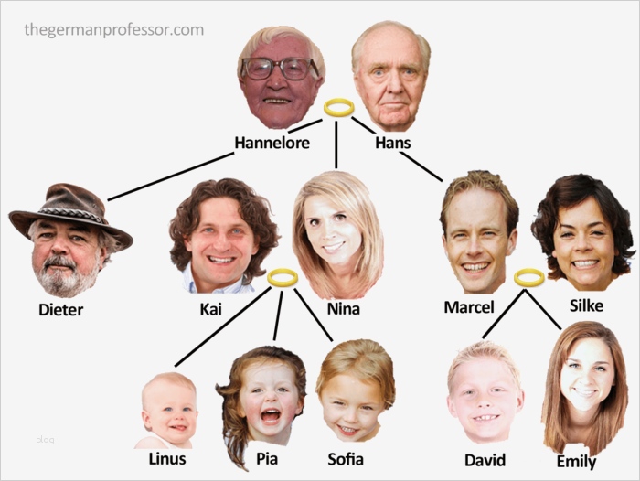 Familienstammbaum Vorlage Hübsch Familienstammbaum Joselinohouse