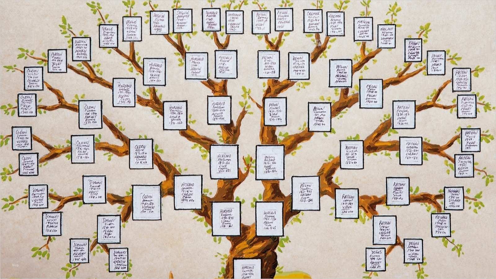 Familienstammbaum Vorlage Inspiration Familie Ahnenforschung Familie Gesellschaft Planet