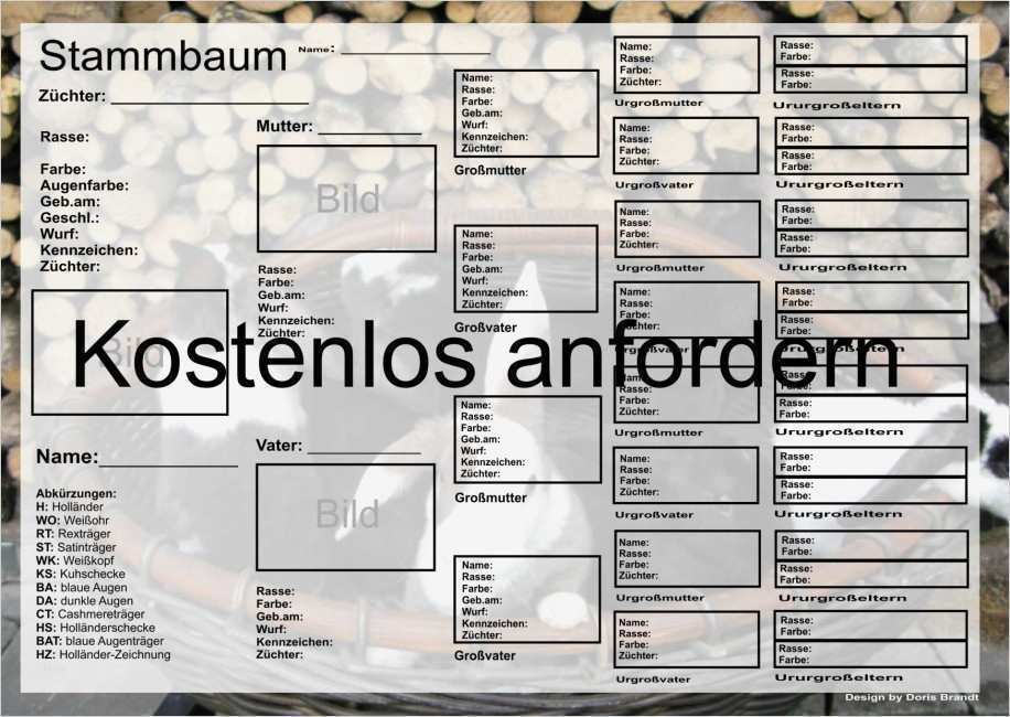 Familienstammbaum Vorlage Luxus Großzügig Stammbaum Foto Vorlage Zeitgenössisch