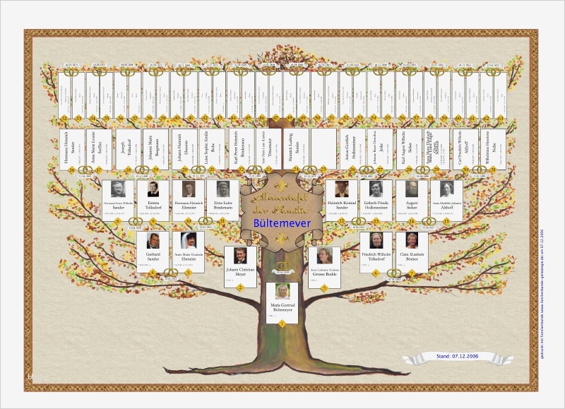 Familienstammbaum Vorlage Neu Familienbande Home