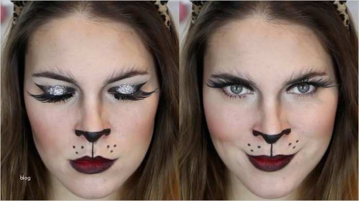 Fasching Schminken Vorlagen Erwachsene Cool Fasching Schminken Vorlagen Erwachsene Die Besten Fee