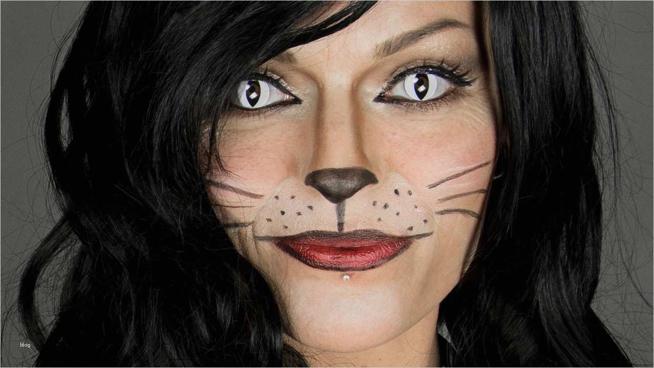 Fasching Schminken Vorlagen Erwachsene Hübsch Katze Schminken Last Minute Faschings & Halloween