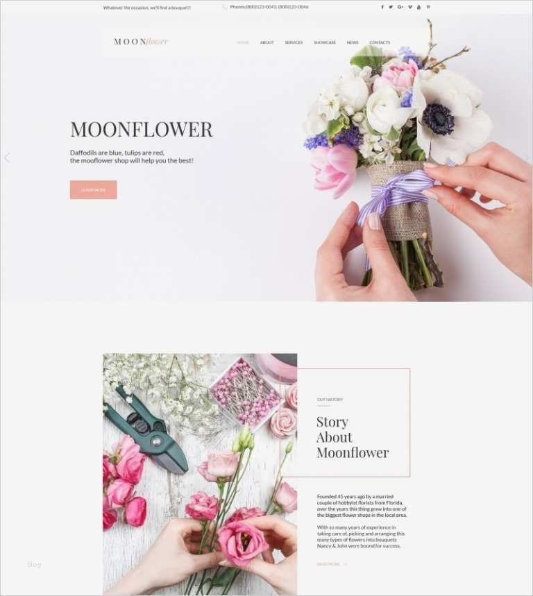 Fau Powerpoint Vorlage Elegant Beste Leben Wird Florida Vorlage Zeitgenössisch