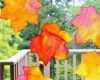 Fensterbilder Grundschule Vorlagen Genial Herbst Fensterbilder Basteln Süße Ideen Und Motive