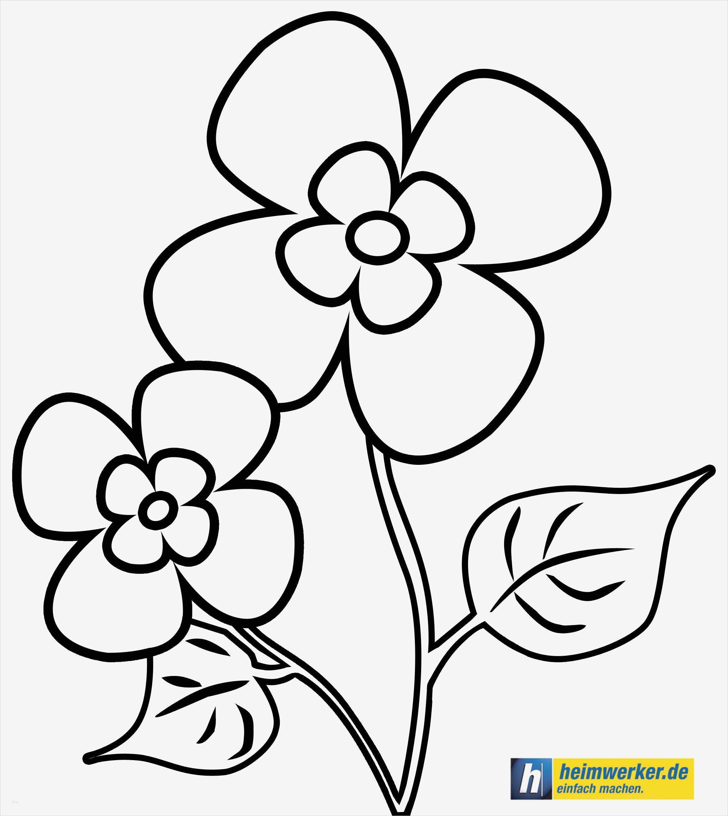 Fensterbilder sommer Vorlagen Kostenlos Erstaunlich 99 Fensterbilder Blumen Vorlagen Kostenlos Ideen