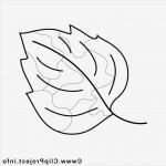 Fensterbilder Vorlagen Kostenlos Ausdrucken Bewundernswert 99 Fensterbilder Blumen Vorlagen Kostenlos Ideen