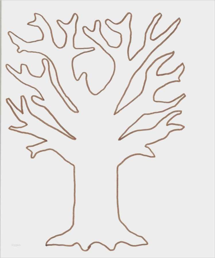 Fensterbilder Vorlagen Schön Fein Herbst Vorlagen Galerie Beispiel Anschreiben Für