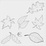 Fensterbilder Vorlagen tonkarton Kostenlos Elegant 69 Großartig Basteln Vorlagen Kostenlos Ausdrucken Modelle