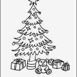 Fensterbilder Weihnachten Vorlagen Zum Ausdrucken Angenehm Window Color Bild Weihnachtsbaum Kostenlose