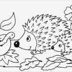 Fensterdeko Kreidemarker Vorlagen Kostenlos Hübsch Dibujos De Animales Fotos Diseños Para Imprimir Y