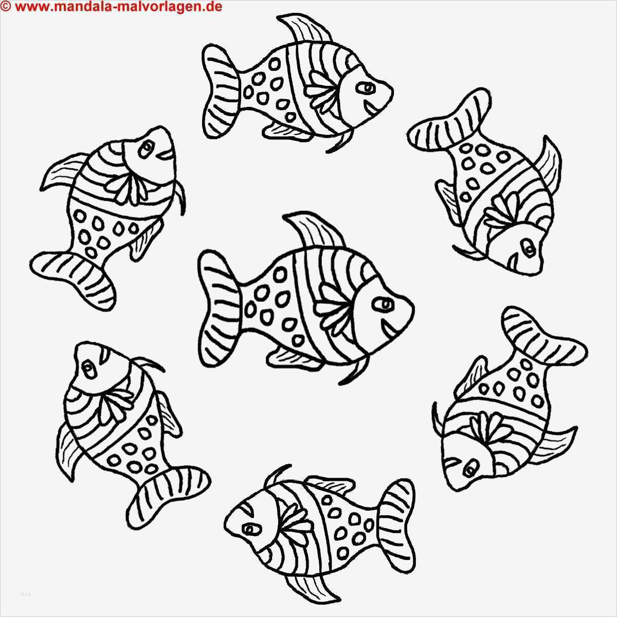 Fertige HTML Vorlagen Kostenlos Schönste Window Color Malvorlagen