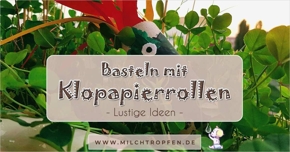 Feuerdrachen Basteln Vorlage Bewundernswert Basteln Mit Klopapierrollen Bastelanleitung & Ideen