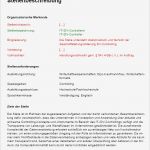 Film Intro Vorlagen Inspiration Stellenbeschreibung It Controller In sofort Download