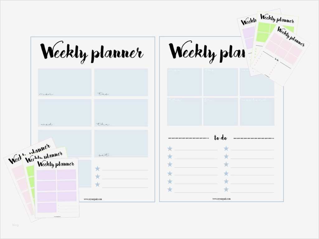 Finanzplan Haushalt Vorlage Erstaunlich Berühmt Essen Plan Vorlagen Kostenlos Ideen Entry Level