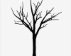 Fingerabdruck Baum Vorlage Angenehm Fingerabdruck Baum Vorlage & andere Motive Kostenlos Zum