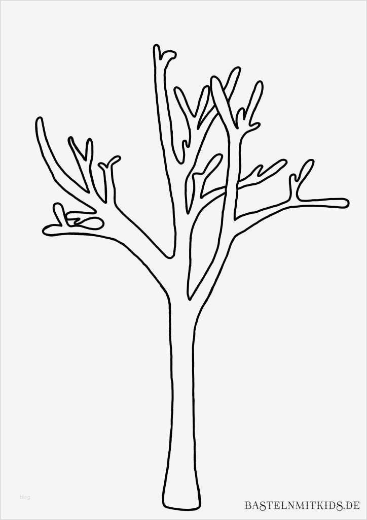 Fingerabdruck Baum Vorlage Kostenlos Cool Malvorlagen Und Briefpapier Gratis Zum Drucken Basteln