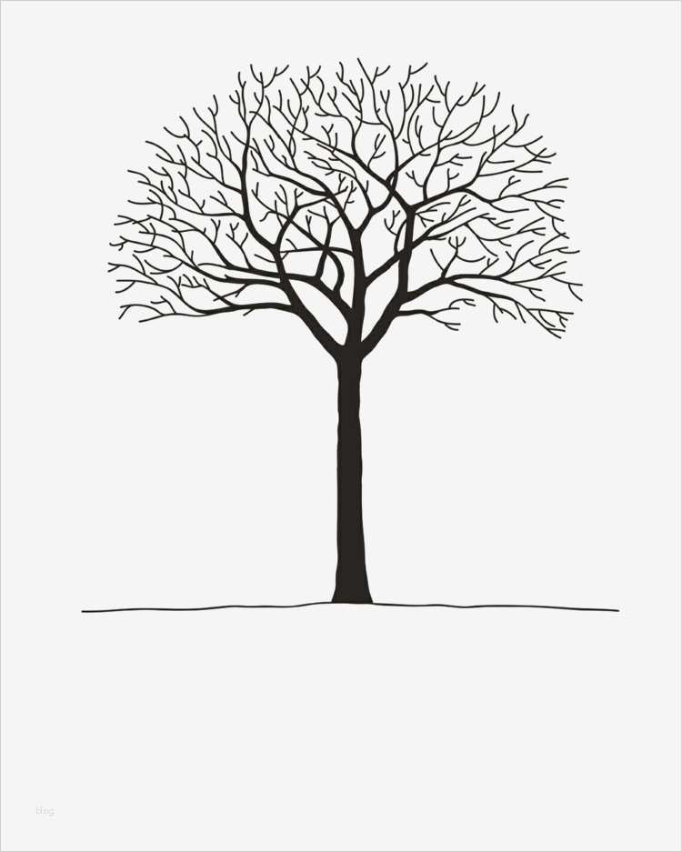 Fingerabdruck Hochzeit Vorlage Kostenlos Cool Fingerabdruck Baum Vorlage & andere Motive Kostenlos Zum