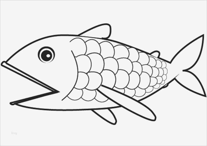 Fisch Vorlage Zum Ausschneiden Elegant Ausmalbilder Fische 08