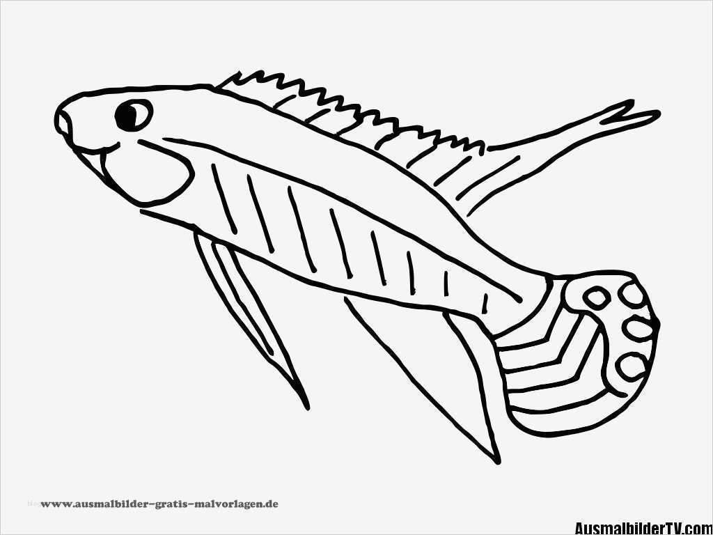 Fisch Vorlage Zum Ausschneiden Erstaunlich Ausmalbilder Fische Gratis Ausmalbildertv