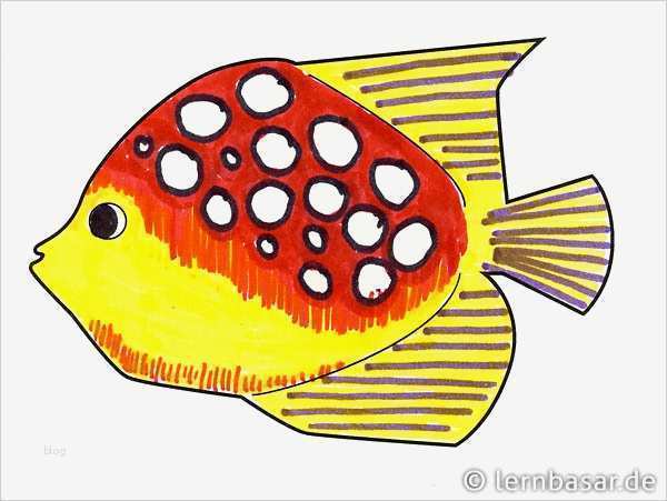 Fisch Vorlage Zum Ausschneiden Fabelhaft Exotische Fische Mit Buntstiften Malen Und Das