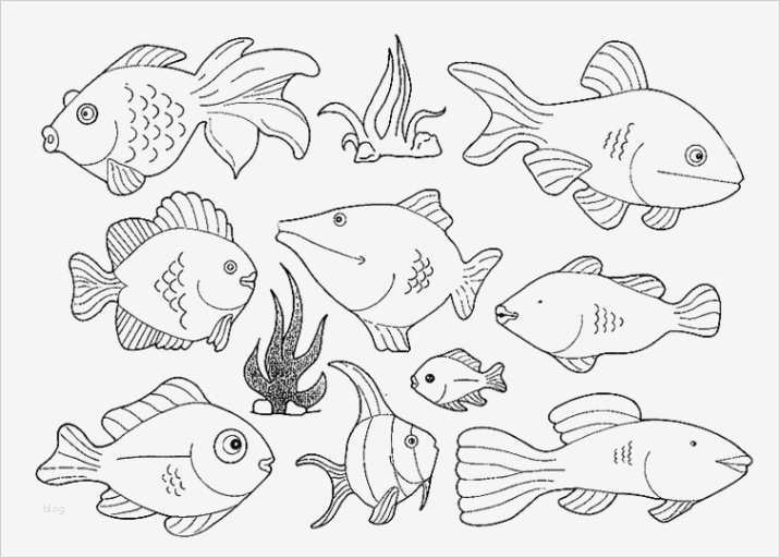 Fisch Vorlage Zum Ausschneiden Wunderbar Fisch Malvorlagen Kostenlos Zum Ausdrucken Ausmalbilder