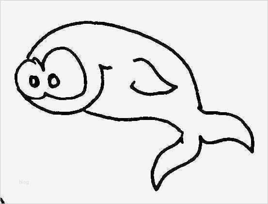 Fische Basteln Vorlagen Erstaunlich Fische