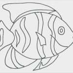 Fische Basteln Vorlagen Süß tolle Fisch Vorlage Bilder Vorlagen Ideen fortsetzen