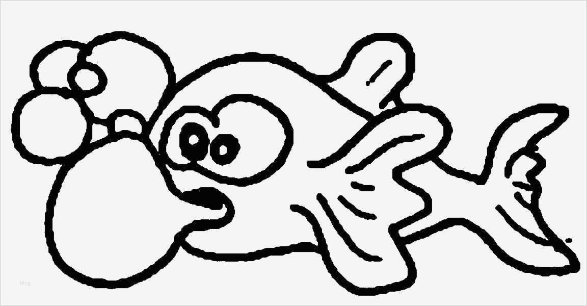 Fische Zeichnen Vorlagen Best Of Fische