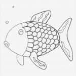 Fische Zeichnen Vorlagen Cool Ausmalbilder Regenbogenfisch Tiere Zum Ausmalen