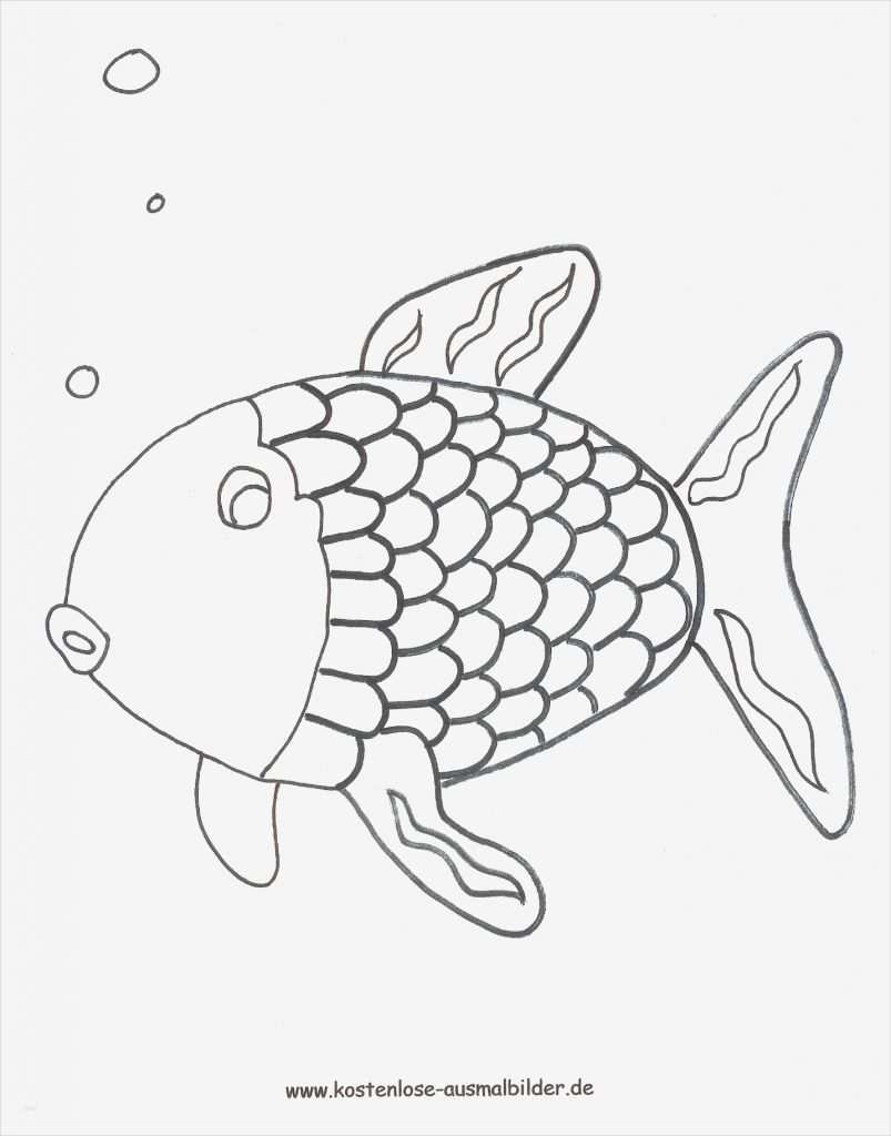 Fische Zeichnen Vorlagen