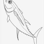 Fische Zeichnen Vorlagen Cool Desenhos De Peixes Para Imprimir