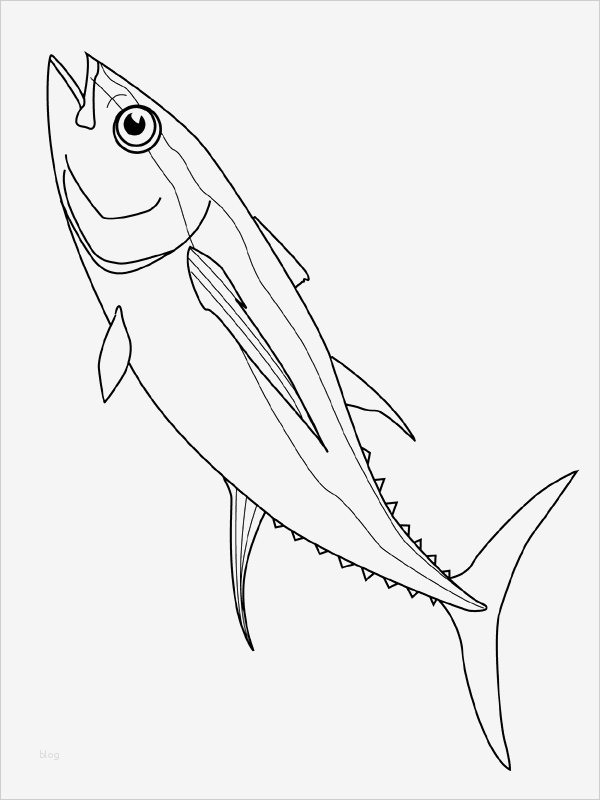 Fische Zeichnen Vorlagen Cool Desenhos De Peixes Para Imprimir