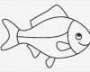 Fische Zeichnen Vorlagen Einzigartig Bilder Fische Zum Ausdrucken Ausmalbilder Von Fische