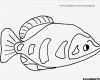 Fische Zeichnen Vorlagen Elegant Ausmalbilder Fische Gratis Ausmalbildertv