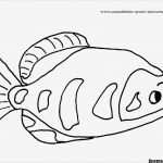 Fische Zeichnen Vorlagen Elegant Ausmalbilder Fische Gratis Ausmalbildertv