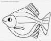 Fische Zeichnen Vorlagen Erstaunlich Ausmalbilder Fische Gratis Vorlage Malen