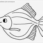 Fische Zeichnen Vorlagen Erstaunlich Ausmalbilder Fische Gratis Vorlage Malen
