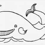 Fische Zeichnen Vorlagen Erstaunlich Ausmalbilder Kostenlos Fische 1