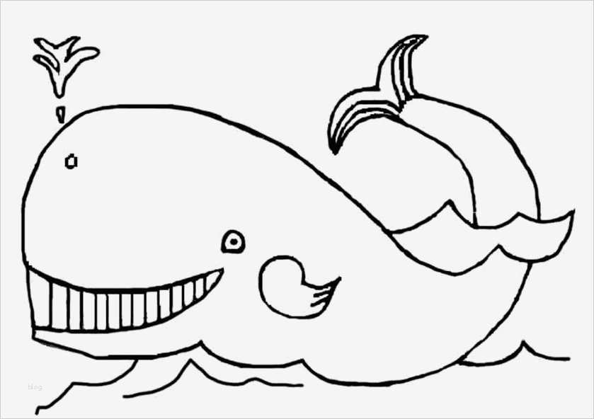 Fische Zeichnen Vorlagen Erstaunlich Ausmalbilder Kostenlos Fische 1