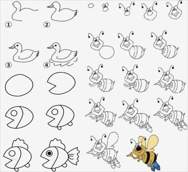 Fische Zeichnen Vorlagen Erstaunlich Die Besten 25 Fische Zeichnen Anleitung Ideen Auf